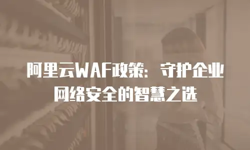 阿里云WAF政策：守护企业网络安全的智慧之选