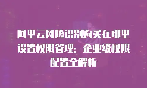 阿里云风险识别购买在哪里设置权限管理：企业级权限配置全解析