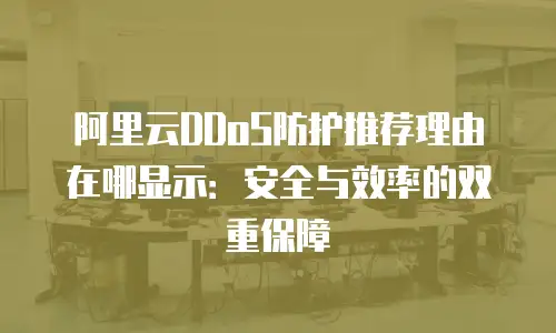 阿里云DDoS防护推荐理由在哪显示：安全与效率的双重保障