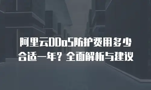 阿里云DDoS防护费用多少合适一年？全面解析与建议