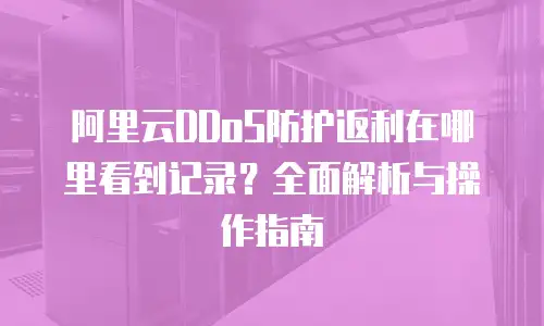阿里云DDoS防护返利在哪里看到记录？全面解析与操作指南