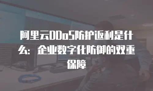 阿里云DDoS防护返利是什么：企业数字化防御的双重保障