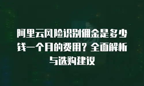阿里云风险识别佣金是多少钱一个月的费用？全面解析与选购建议