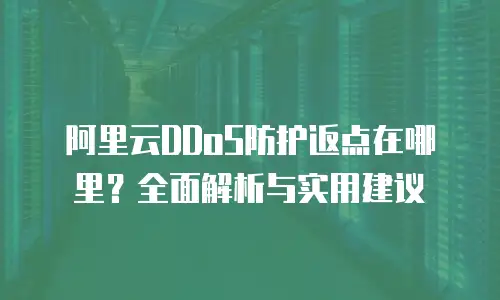 阿里云DDoS防护返点在哪里？全面解析与实用建议