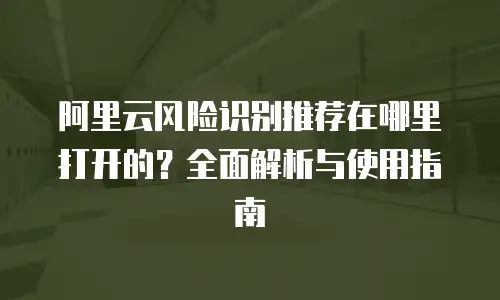阿里云风险识别推荐在哪里打开的？全面解析与使用指南
