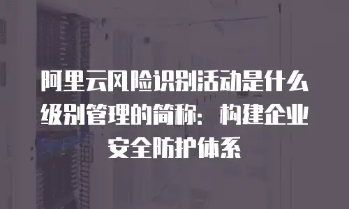 阿里云风险识别活动是什么级别管理的简称：构建企业安全防护体系