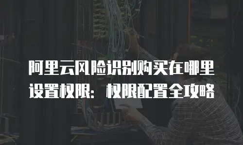 阿里云风险识别购买在哪里设置权限：权限配置全攻略
