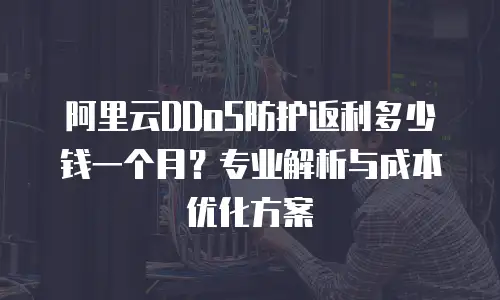 阿里云DDoS防护返利多少钱一个月？专业解析与成本优化方案