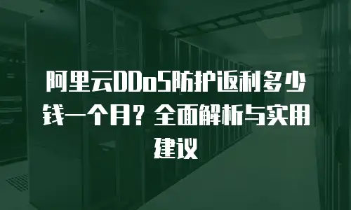 阿里云DDoS防护返利多少钱一个月？全面解析与实用建议