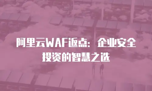 阿里云WAF返点：企业安全投资的智慧之选