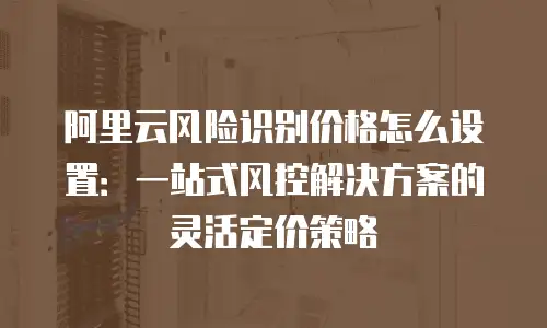 阿里云风险识别价格怎么设置：一站式风控解决方案的灵活定价策略
