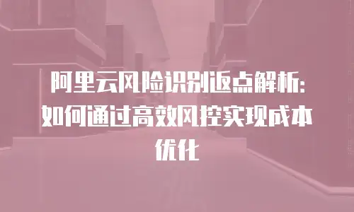 阿里云风险识别返点解析：如何通过高效风控实现成本优化