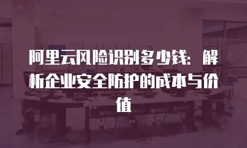 阿里云风险识别多少钱：解析企业安全防护的成本与价值