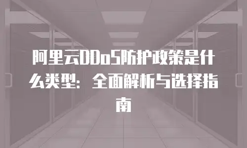 阿里云DDoS防护政策是什么类型：全面解析与选择指南