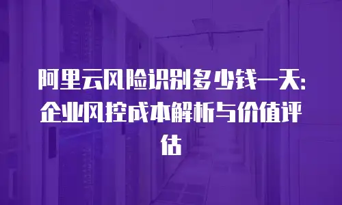 阿里云风险识别多少钱一天：企业风控成本解析与价值评估