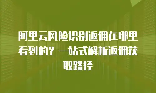 阿里云风险识别返佣在哪里看到的？一站式解析返佣获取路径