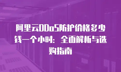 阿里云DDoS防护价格多少钱一个小时：全面解析与选购指南