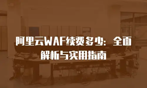 阿里云WAF续费多少：全面解析与实用指南