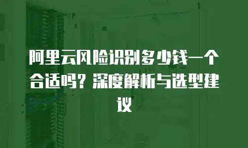 阿里云风险识别多少钱一个合适吗？深度解析与选型建议
