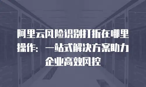 阿里云风险识别打折在哪里操作：一站式解决方案助力企业高效风控
