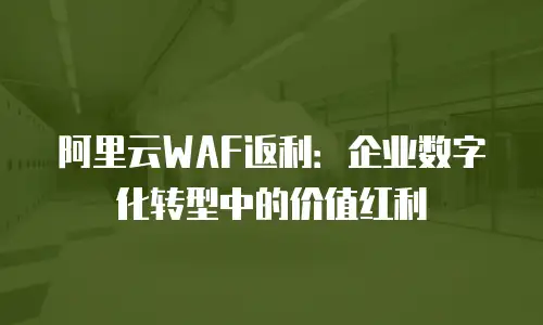 阿里云WAF返利：企业数字化转型中的价值红利