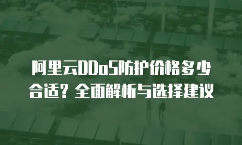 阿里云DDoS防护价格多少合适？全面解析与选择建议