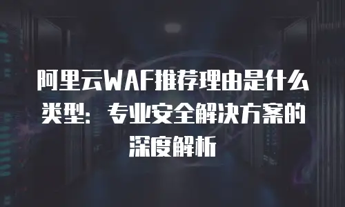阿里云WAF推荐理由是什么类型：专业安全解决方案的深度解析