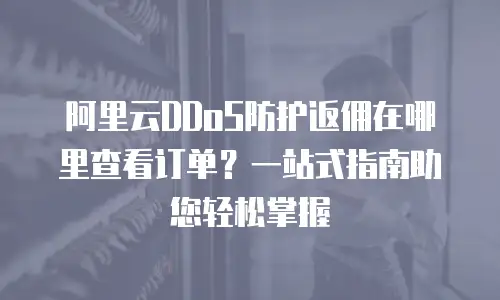 阿里云DDoS防护返佣在哪里查看订单？一站式指南助您轻松掌握