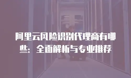 阿里云风险识别代理商有哪些：全面解析与专业推荐