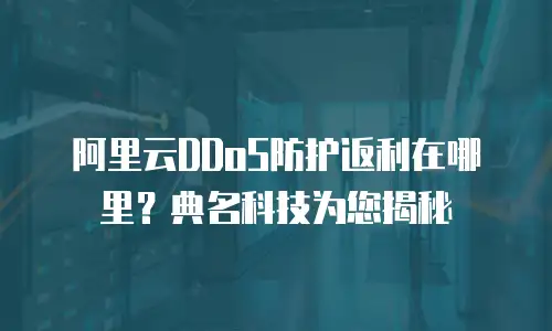阿里云DDoS防护返利在哪里？典名科技为您揭秘