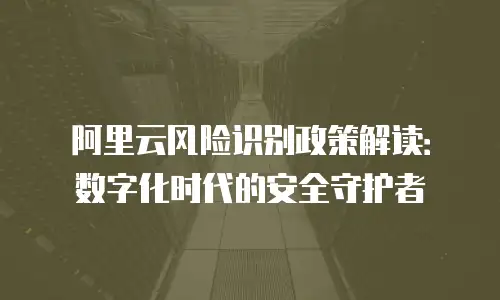 阿里云风险识别政策解读：数字化时代的安全守护者