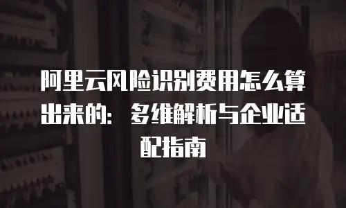 阿里云风险识别费用怎么算出来的：多维解析与企业适配指南