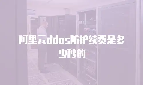阿里云ddos防护续费是多少秒的