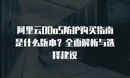 阿里云DDoS防护购买指南是什么版本？全面解析与选择建议
