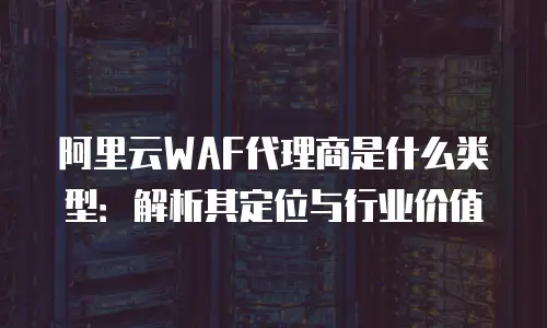 阿里云WAF代理商是什么类型：解析其定位与行业价值