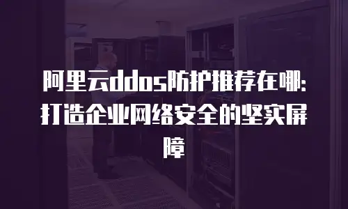 阿里云ddos防护推荐在哪：打造企业网络安全的坚实屏障