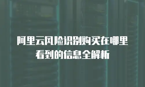 阿里云风险识别购买在哪里看到的信息全解析