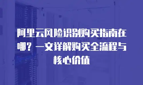 阿里云风险识别购买指南在哪？一文详解购买全流程与核心价值