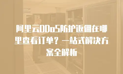 阿里云DDoS防护返佣在哪里查看订单？一站式解决方案全解析