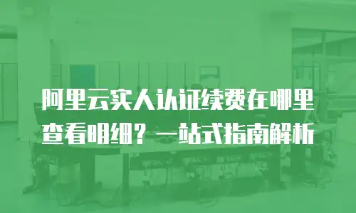 阿里云实人认证续费在哪里查看明细？一站式指南解析
