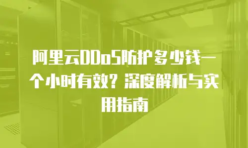 阿里云DDoS防护多少钱一个小时有效？深度解析与实用指南
