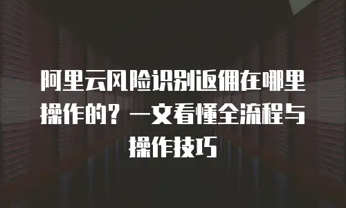 阿里云风险识别返佣在哪里操作的？一文看懂全流程与操作技巧