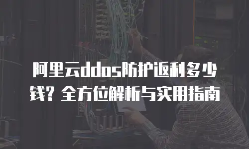 阿里云ddos防护返利多少钱？全方位解析与实用指南