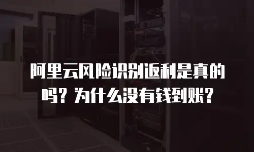 阿里云风险识别返利是真的吗？为什么没有钱到账？
