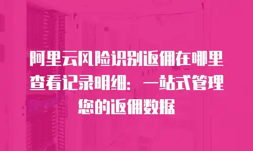 阿里云风险识别返佣在哪里查看记录明细：一站式管理您的返佣数据