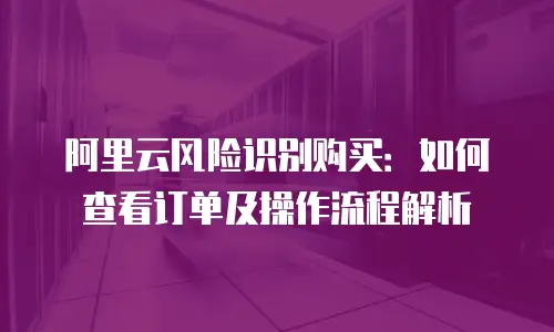 阿里云风险识别购买：如何查看订单及操作流程解析