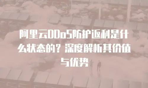 阿里云DDoS防护返利是什么状态的？深度解析其价值与优势