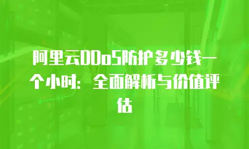 阿里云DDoS防护多少钱一个小时：全面解析与价值评估