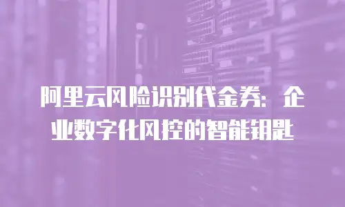 阿里云风险识别代金券：企业数字化风控的智能钥匙