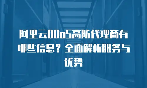 阿里云DDoS高防代理商有哪些信息？全面解析服务与优势